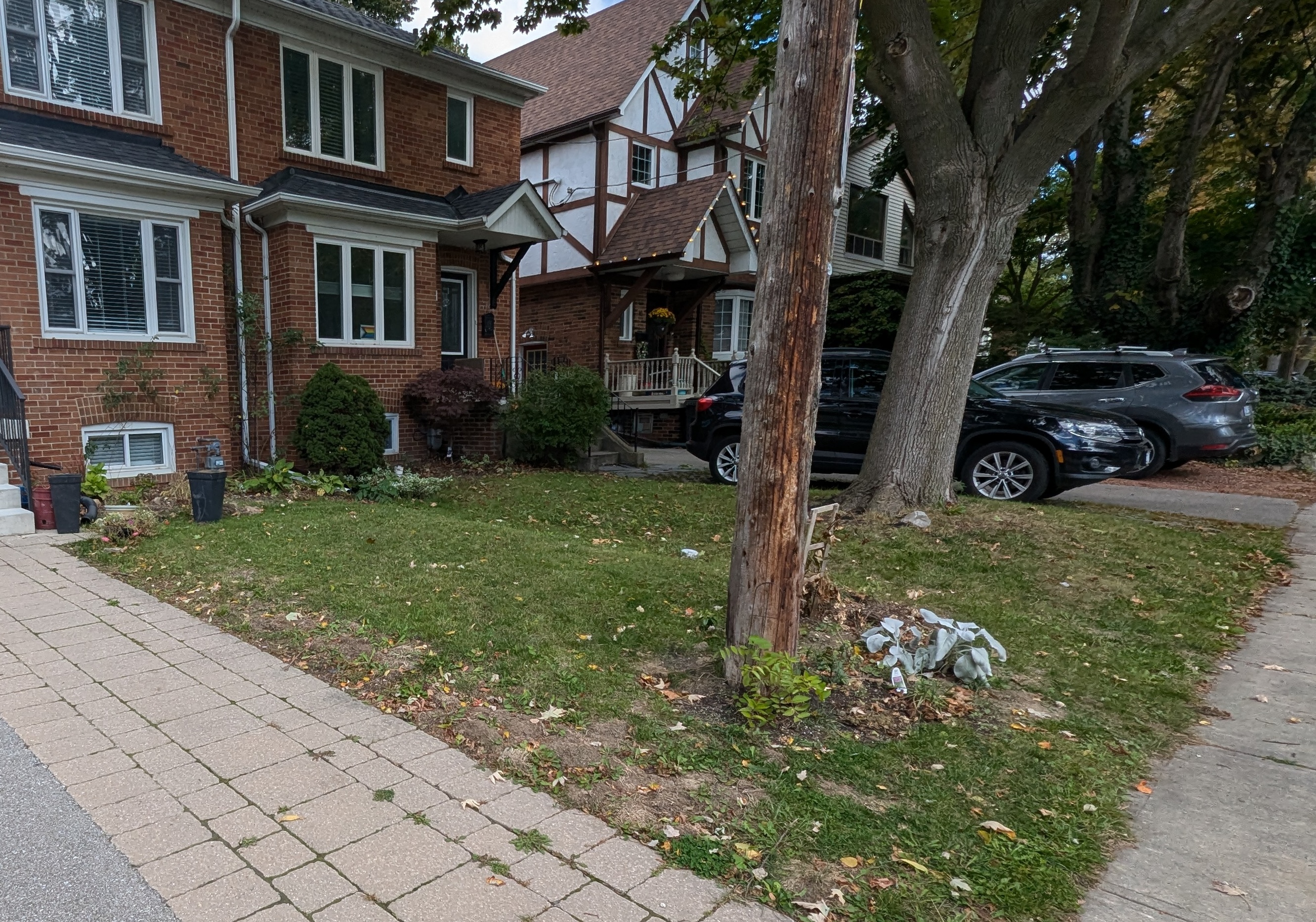 Before: bare front garden Toronto