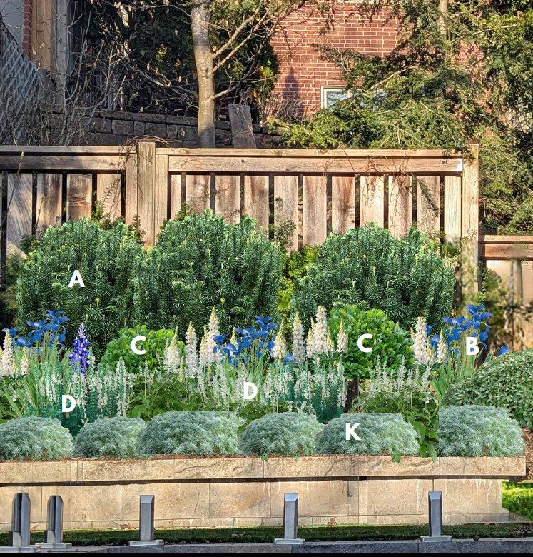 Annotated planting render